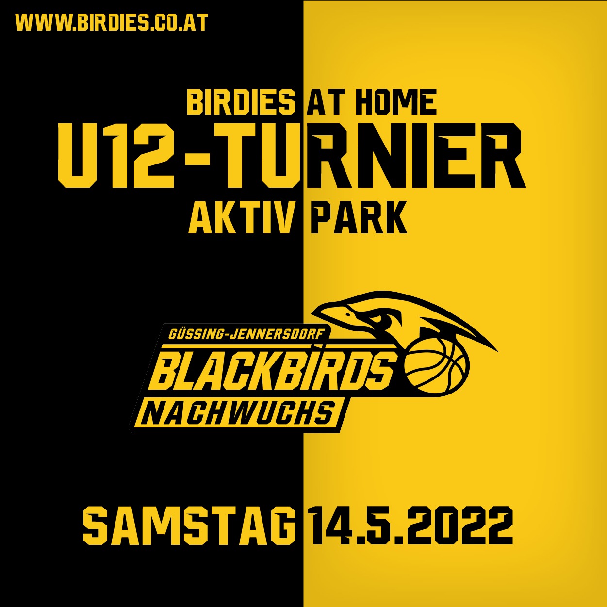 HEIMTURNIER DER U12 IM AKTIVPARK